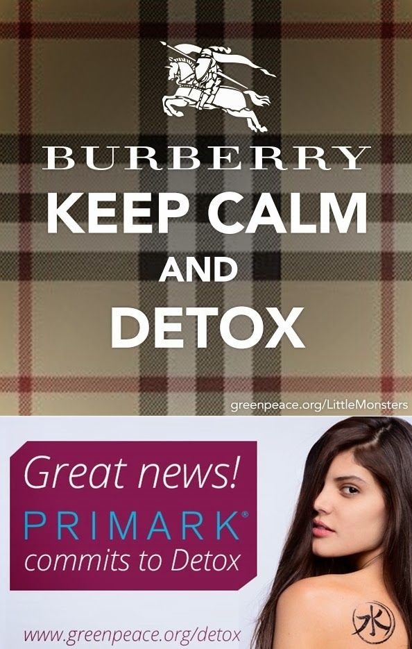 the green market oracle burberry primark vow to stop using toxins detox project summit flyer