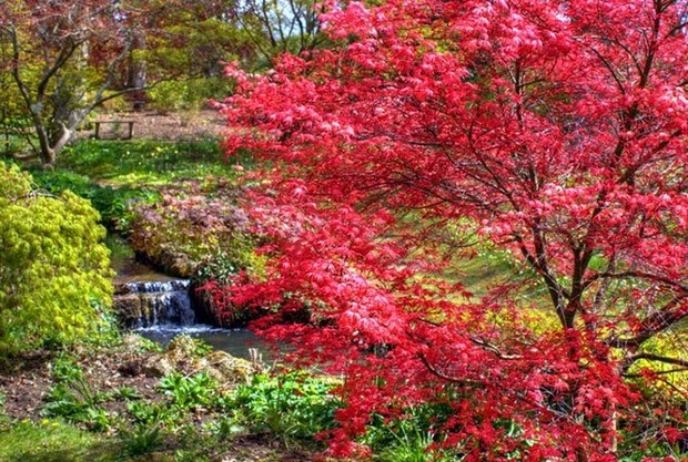 World's most beautiful gardens - Exbury Gardens, UK