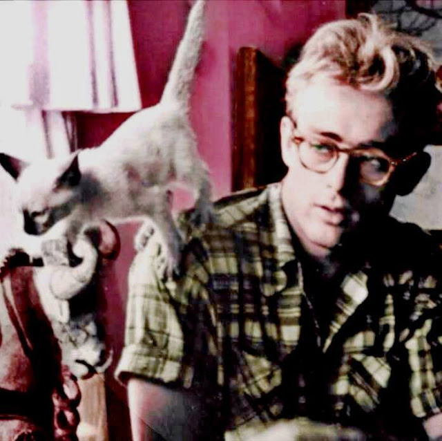 JAMES DEAN AMOR CAMPESINO