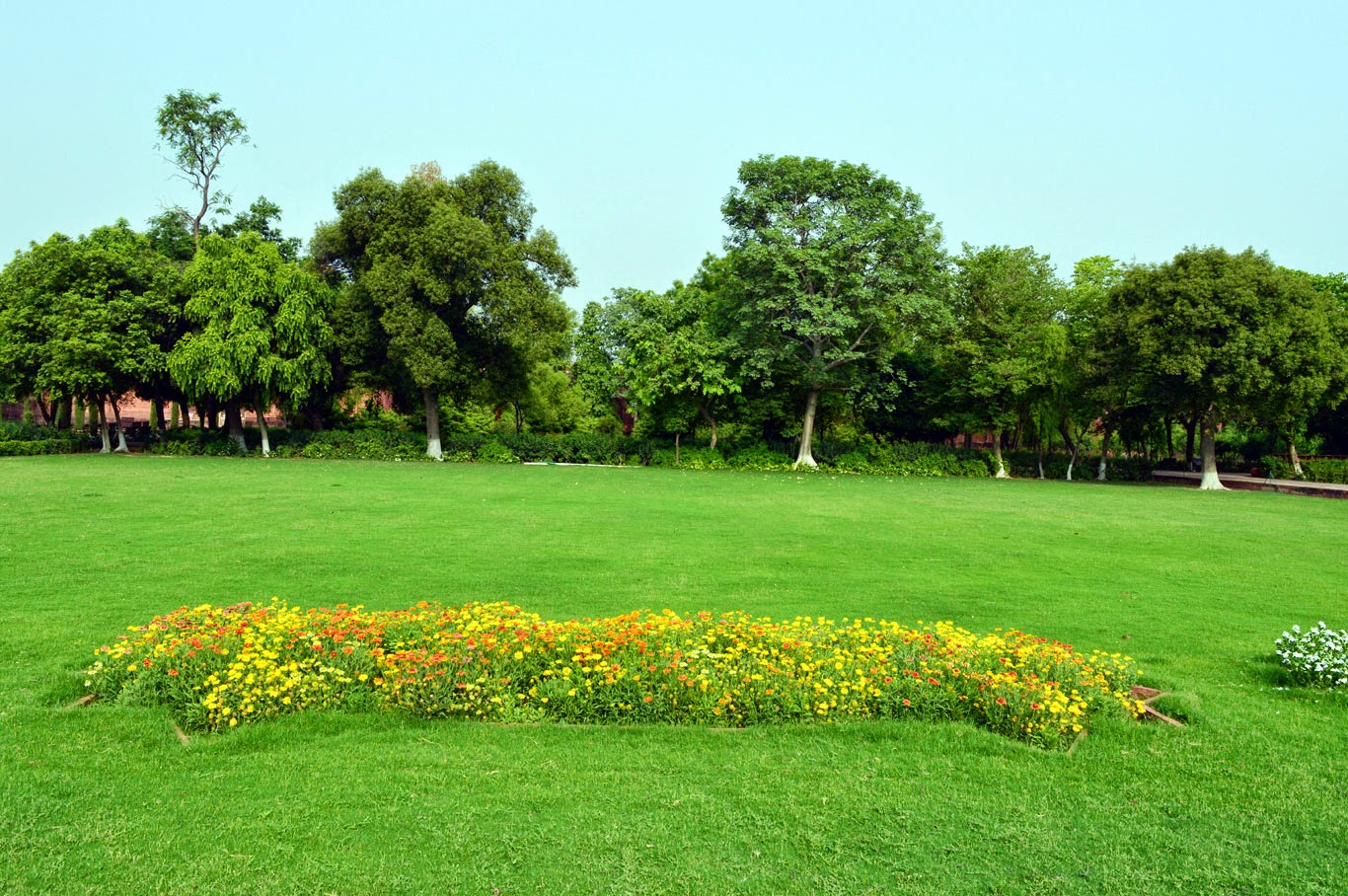 Sanjay Photo World Garden backgrounds for