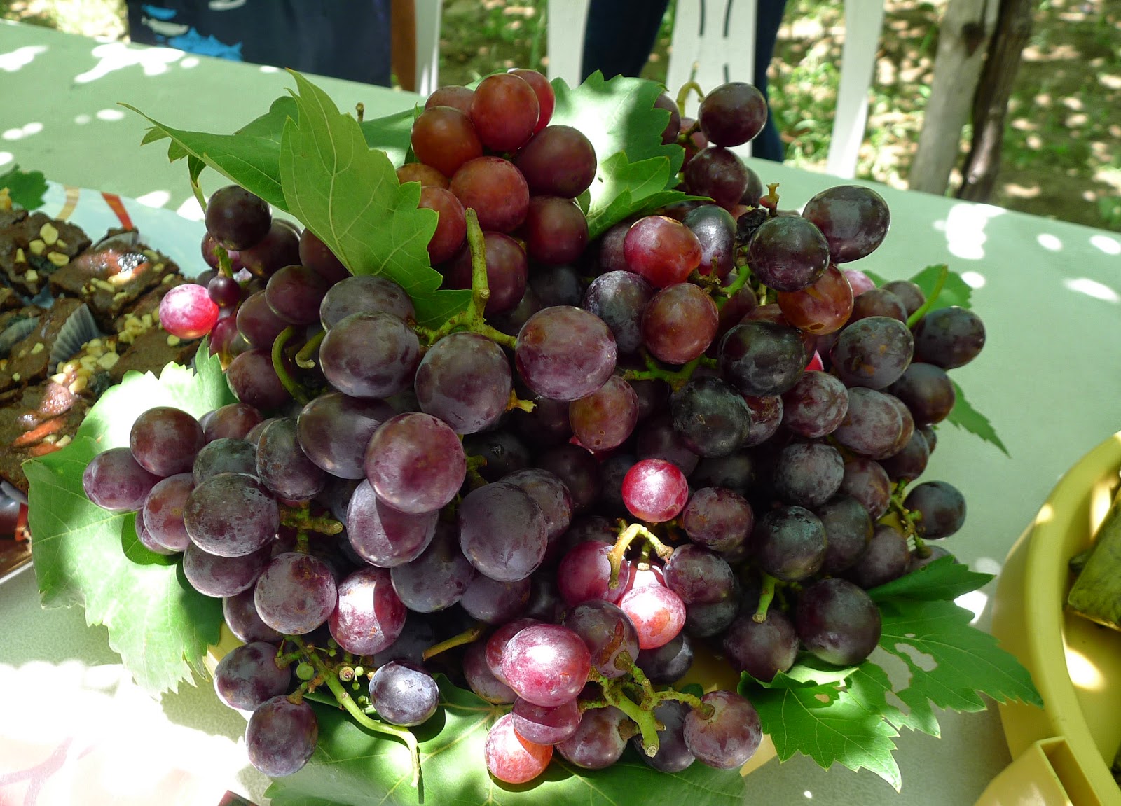 Yes Meding, Grapes Grow In The Philippines!