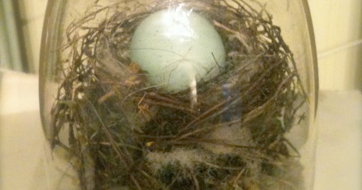 CHOCOLATE POT & CANDLESTICKS FRENCH COUNTRY COTTAGE