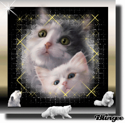 Https Encrypted Tbn0 Gstatic Com Images Q Tbn 3aand9gcs10zxdygjvha0gxqxjarxif1fw7c9cpezb1w Usqp Cau