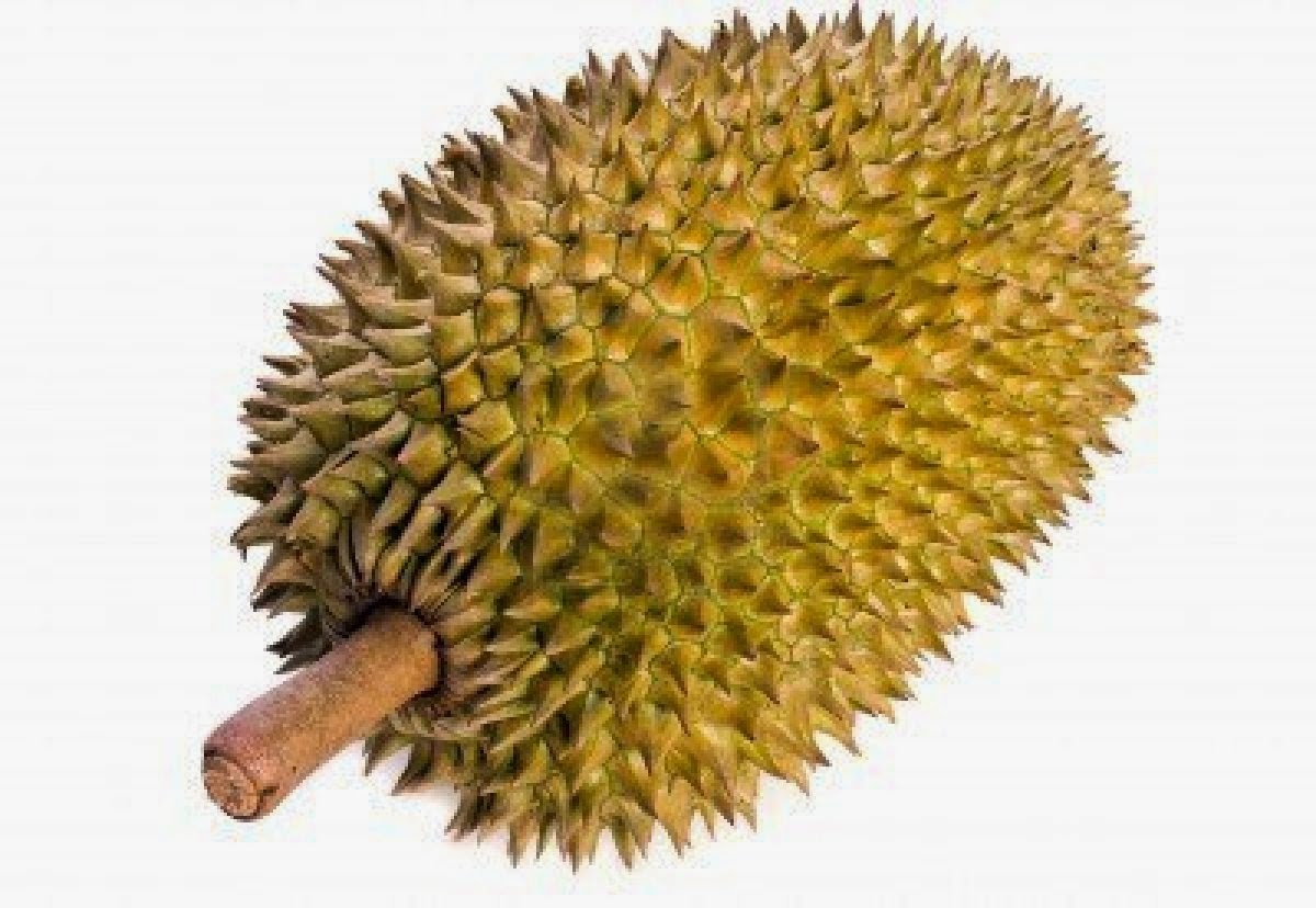 Benefits and efficacy of durian (King of fruits) Healthy Fruits