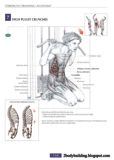 أهم تمارين لشد وتقوية عضلات البطن  Abdominal+116