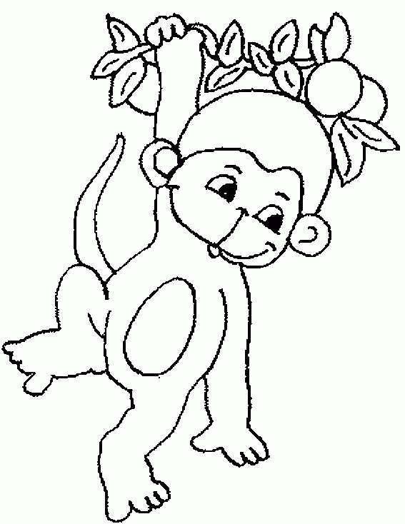 Desenhos De Macaco Para Colorir