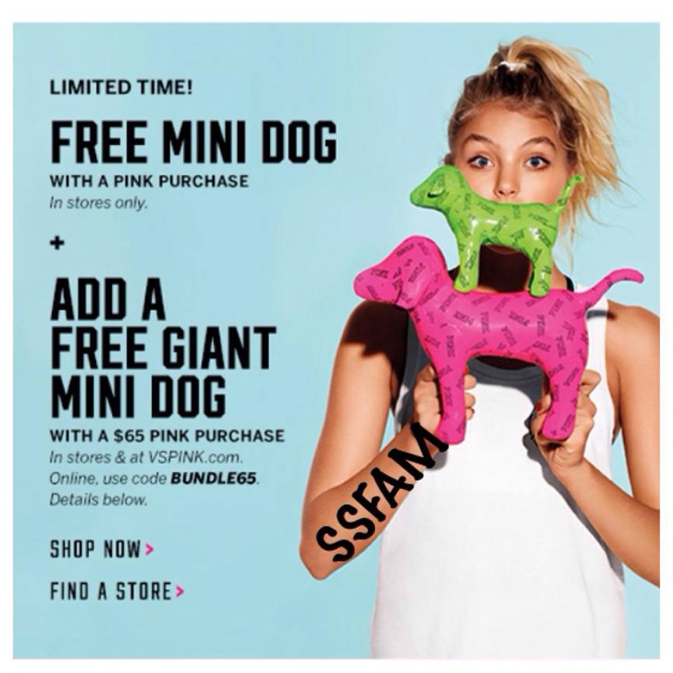 free victoria secret mini dog victoria secret flyers