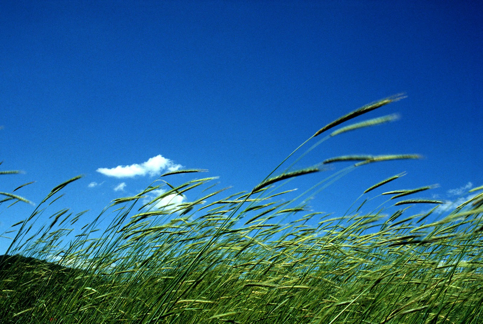 Aire Fresco Telegraph