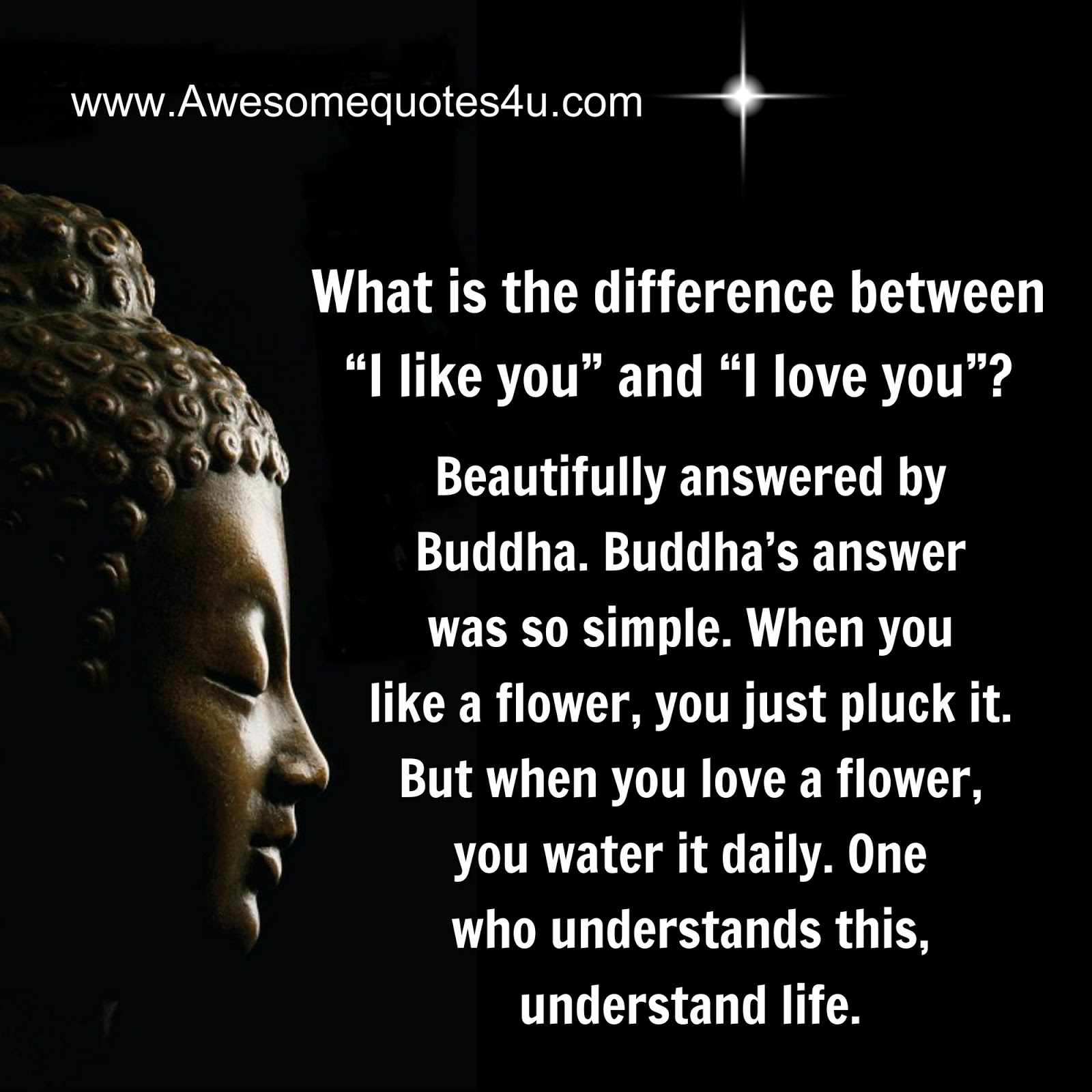 Buddhist Quotes On Love Beauteous Beautiful Quotes Difference Between I Like You And I Love You Buddhist Quotes On Love Best Beautiful Quotes Difference Between I Like You And I Love You