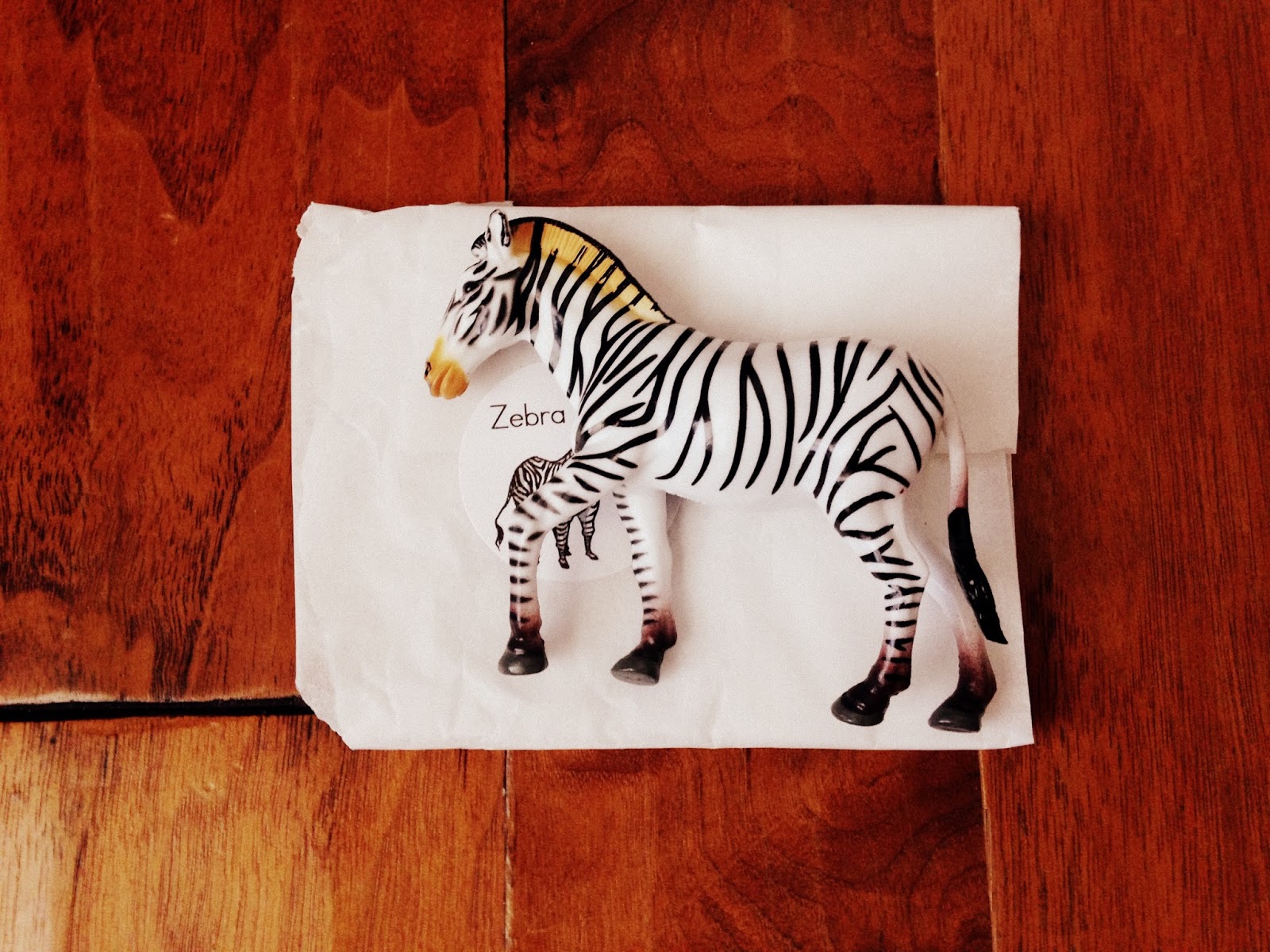 Plan to Happy Animal Trackers Subscription Box for Kids {Review}