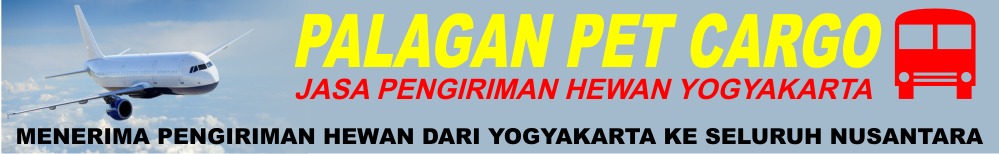 SYARAT PENGIRIMAN HEWAN