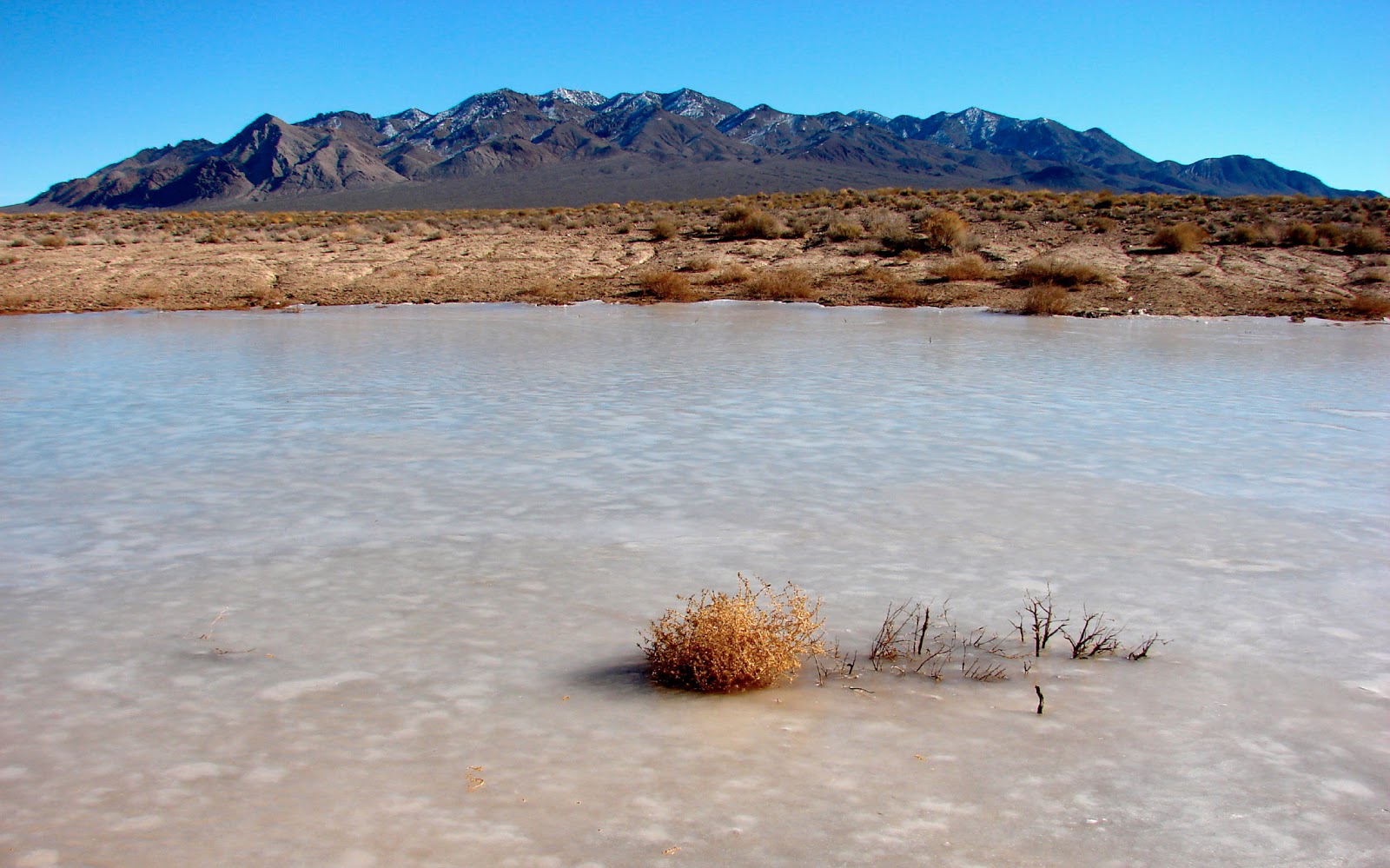 Our Four Wheel Camper: Stonewall Falls, Nevada - “the air was still and