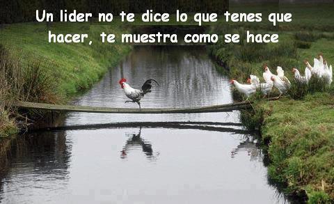 frases-reflexion-liderazgo-lider