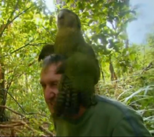The Facts and Theories of Evolution: The Kakapo: A Case Study of a