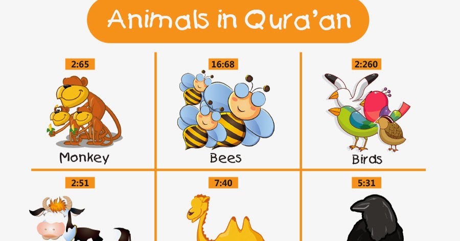 Lessons In Islam: Animal in Quran - (Part-1)