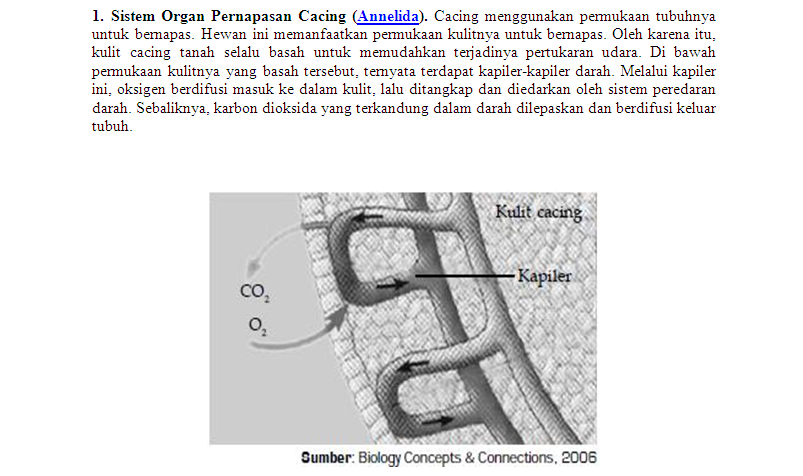 Sebuah Hasil Sederhana Sistem dan Organ Pernapasan pada Hewan