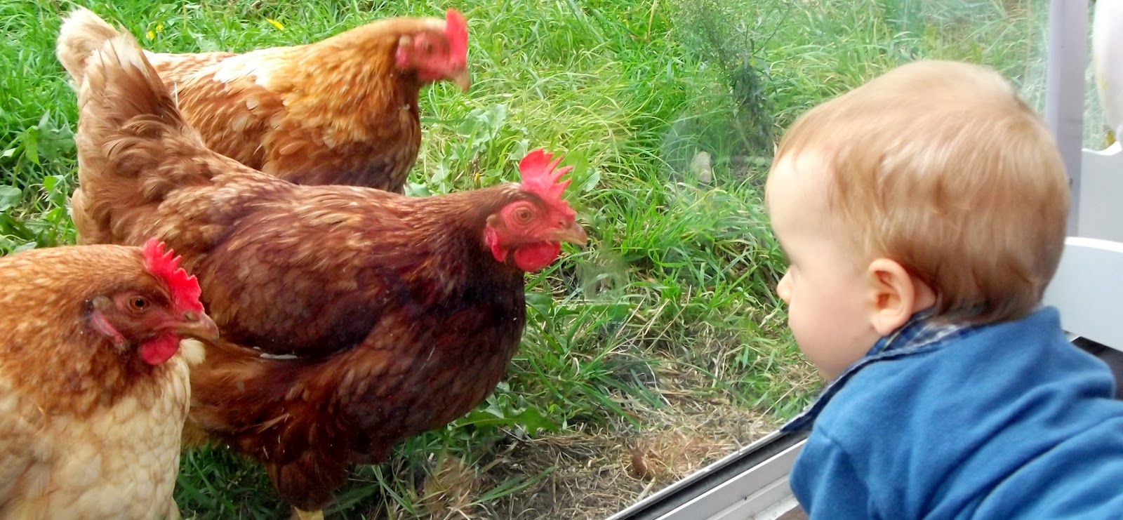 rencontre maman bébé 78