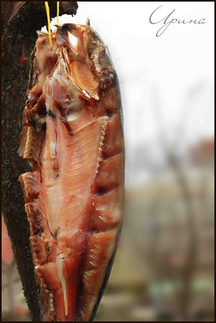 %D1%82%D0%BE%D0%BB%D1%81%D1%82%D0%BE%D0%