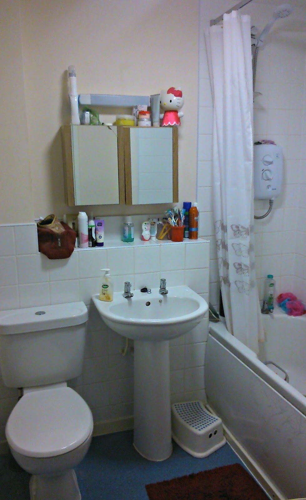 Five Quite Interesting Bathroom Facts. Raisie Bay