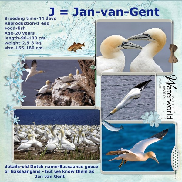 Oct.2016 - J = Jan van Gent