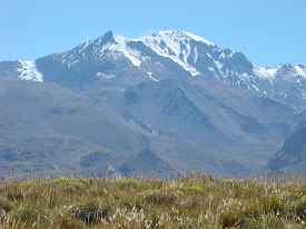 Volcan Domuyo