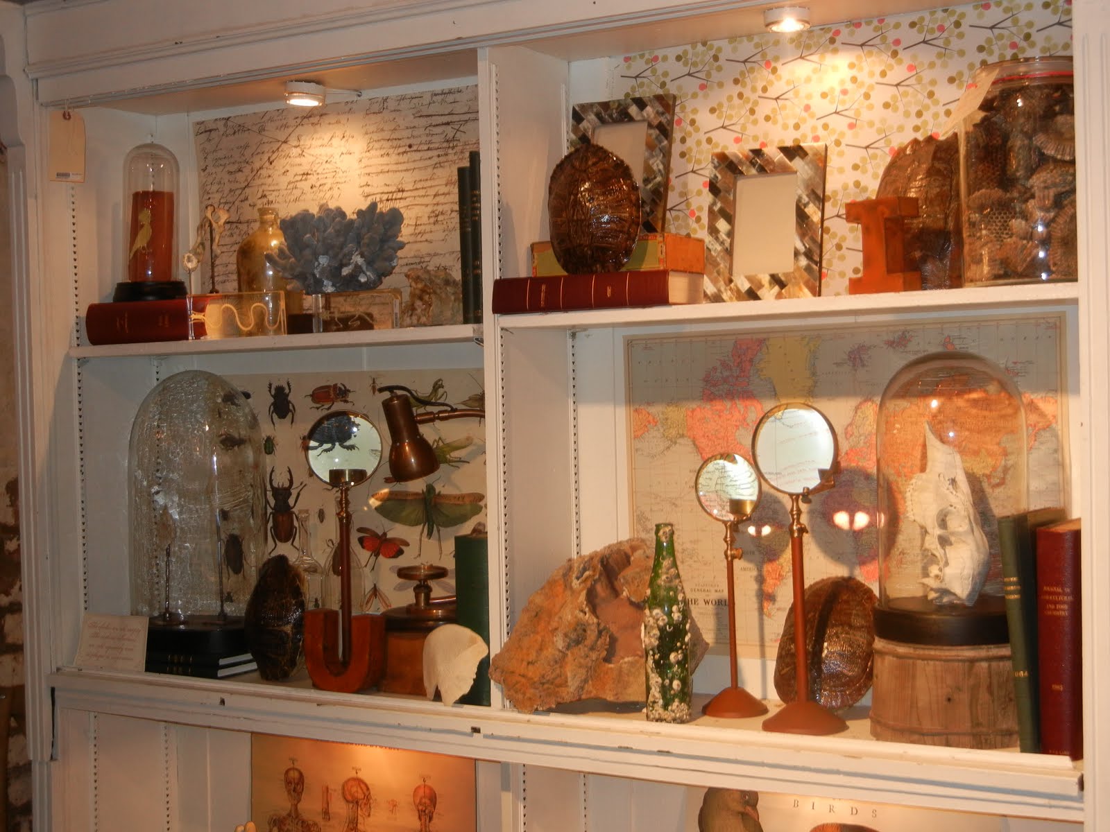 The French Tangerine savannah