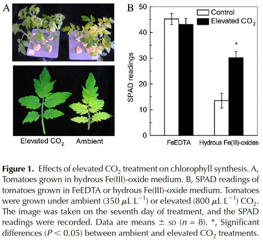 THE HOCKEY SCHTICK Elevated CO2 improves plant nutrition and a boon to