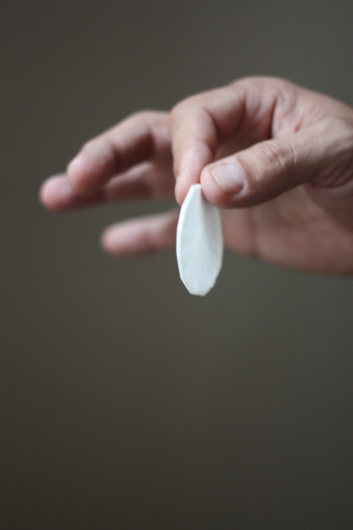 E.A.T. Daikon Radish Chips