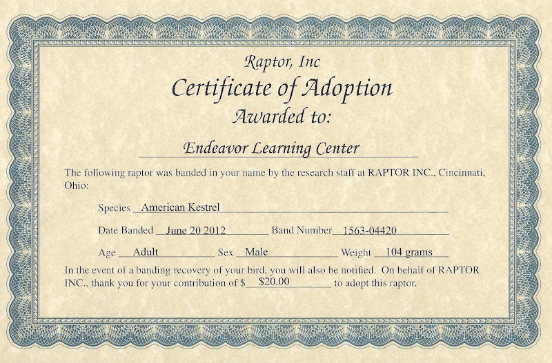 What do adoption papers look like