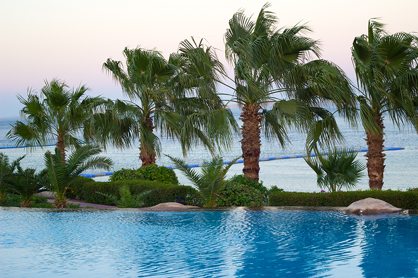 Melia Sharm Resort 5 бассейн пальмы