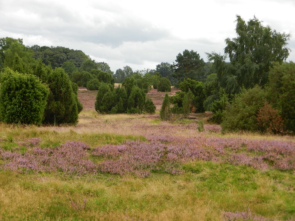 Kinder Und Familienzentrum Jumpers Schwerin Jumpers Jugend
