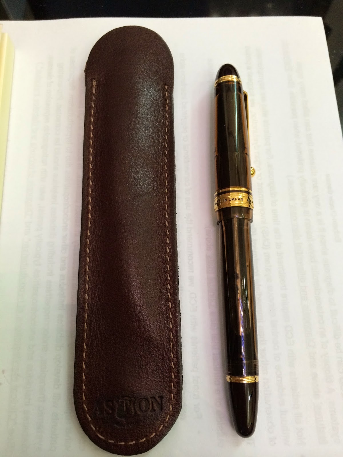 The Pen Fifteen Club Review Pilot Custom 823