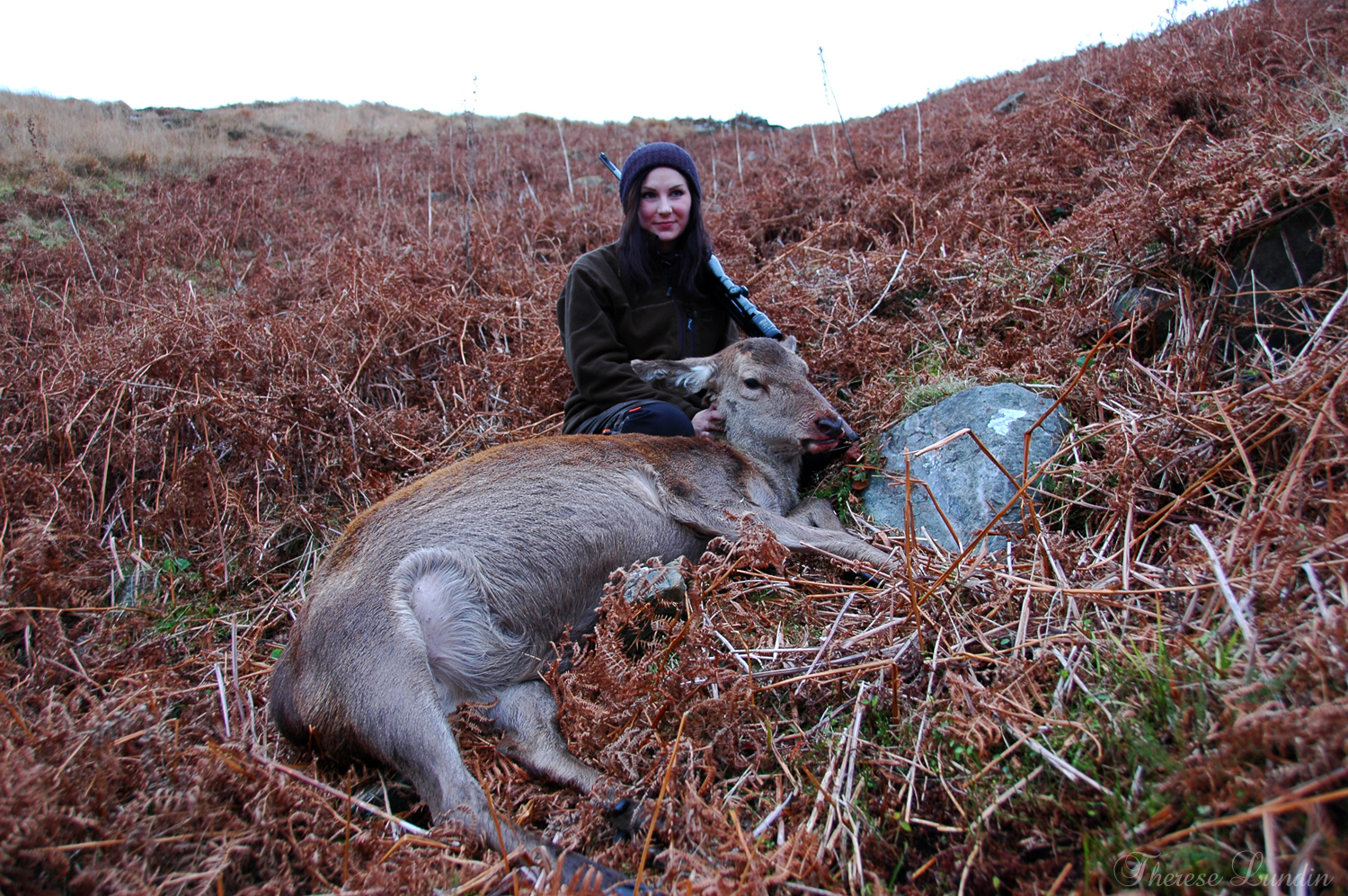 JAKT I SKOTTLAND, JURA 2012