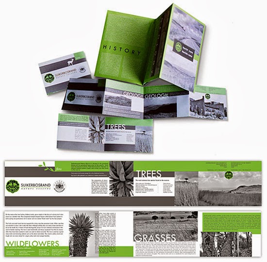 Creative Brochure Designs
