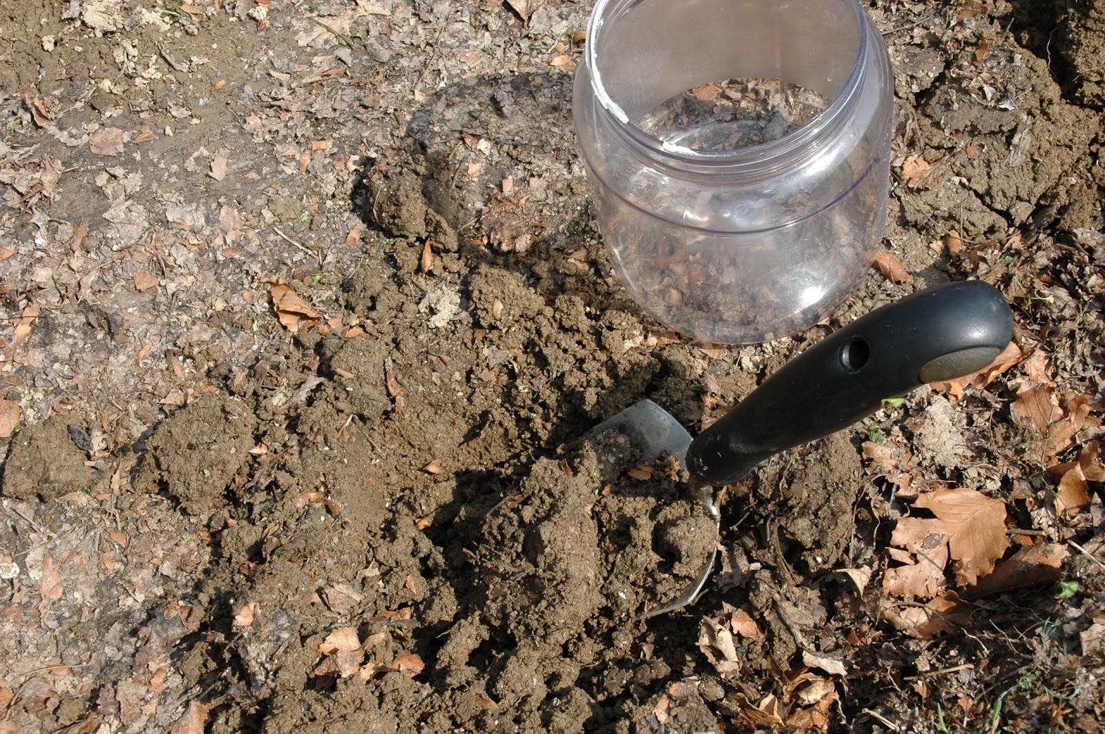 Photography Damentions: Easy Soil Structure Test