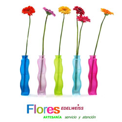 Flores Zaragoza Floristeria Edelweiss