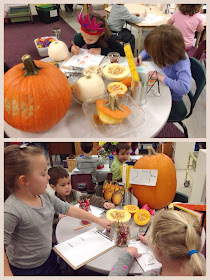 Wonders in Kindergarten: Our Pumpkin Investigation