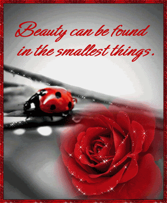 Rose Day Moving picture