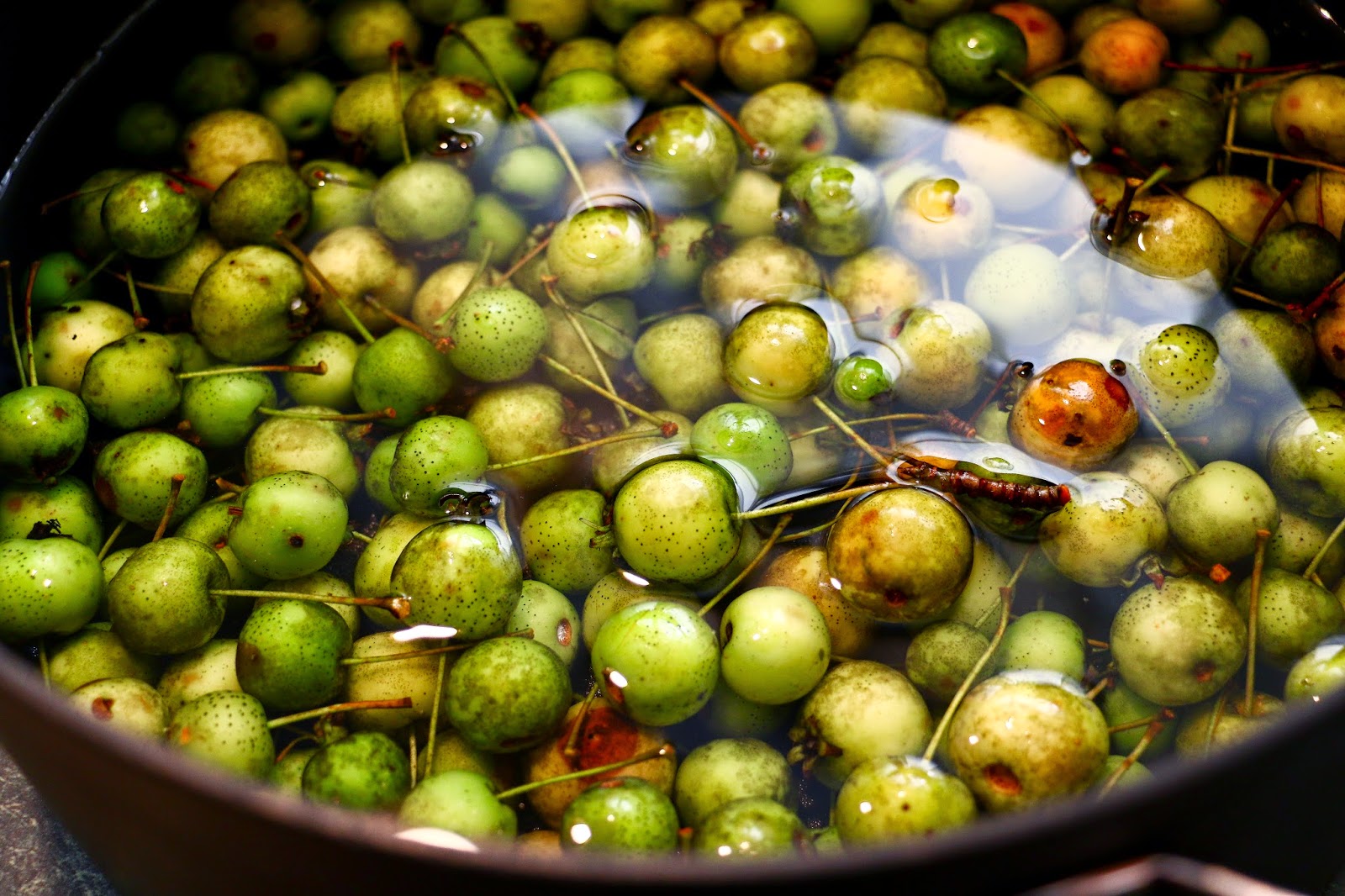 World Turn'd Upside Down 1860s Crab Apple Jelly Recipe Historical