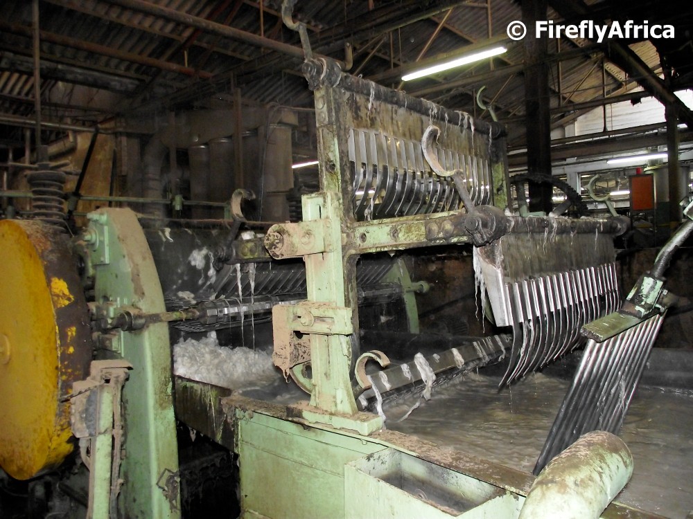 Port Elizabeth Daily Photo Washing the Mohair Mohair series 2 of 7