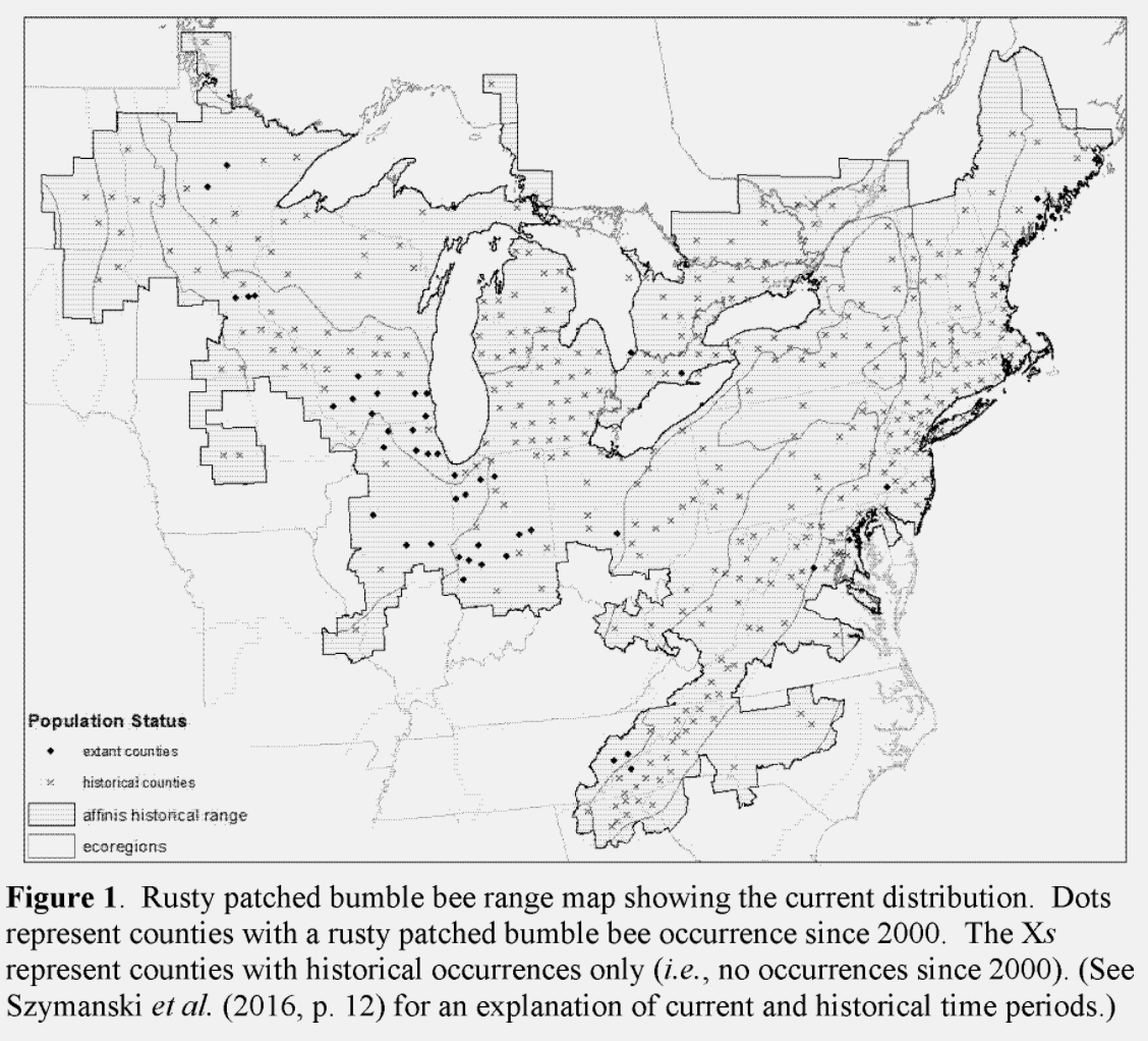 today 69 rusty patched bee populations exist the map below provided by the u s fish and wildlife service shows the current distribution of rusty today 69 rusty patched bee populations exist the map below provided by the u s fish and wildlife service shows the current distribution of rusty
