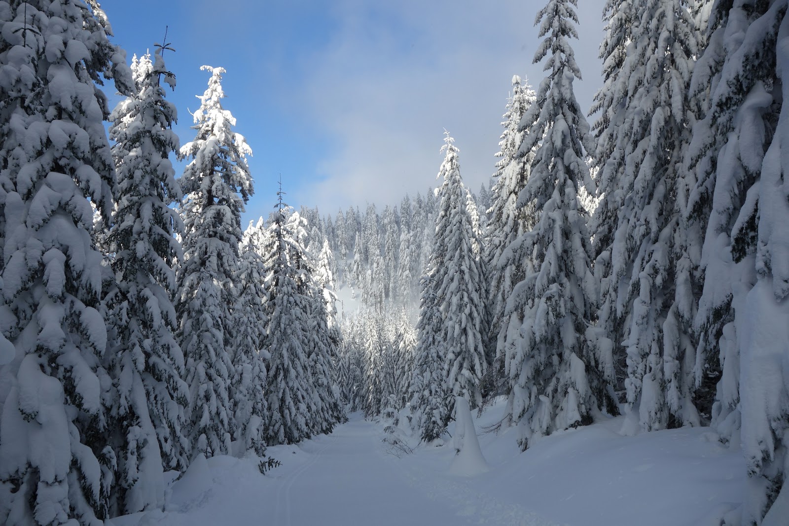 Running In The Rain Cabin Creek Sno Park Exit 63
