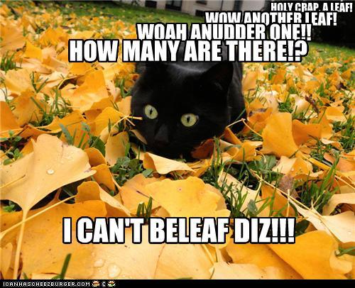 Staples+filing+boxes