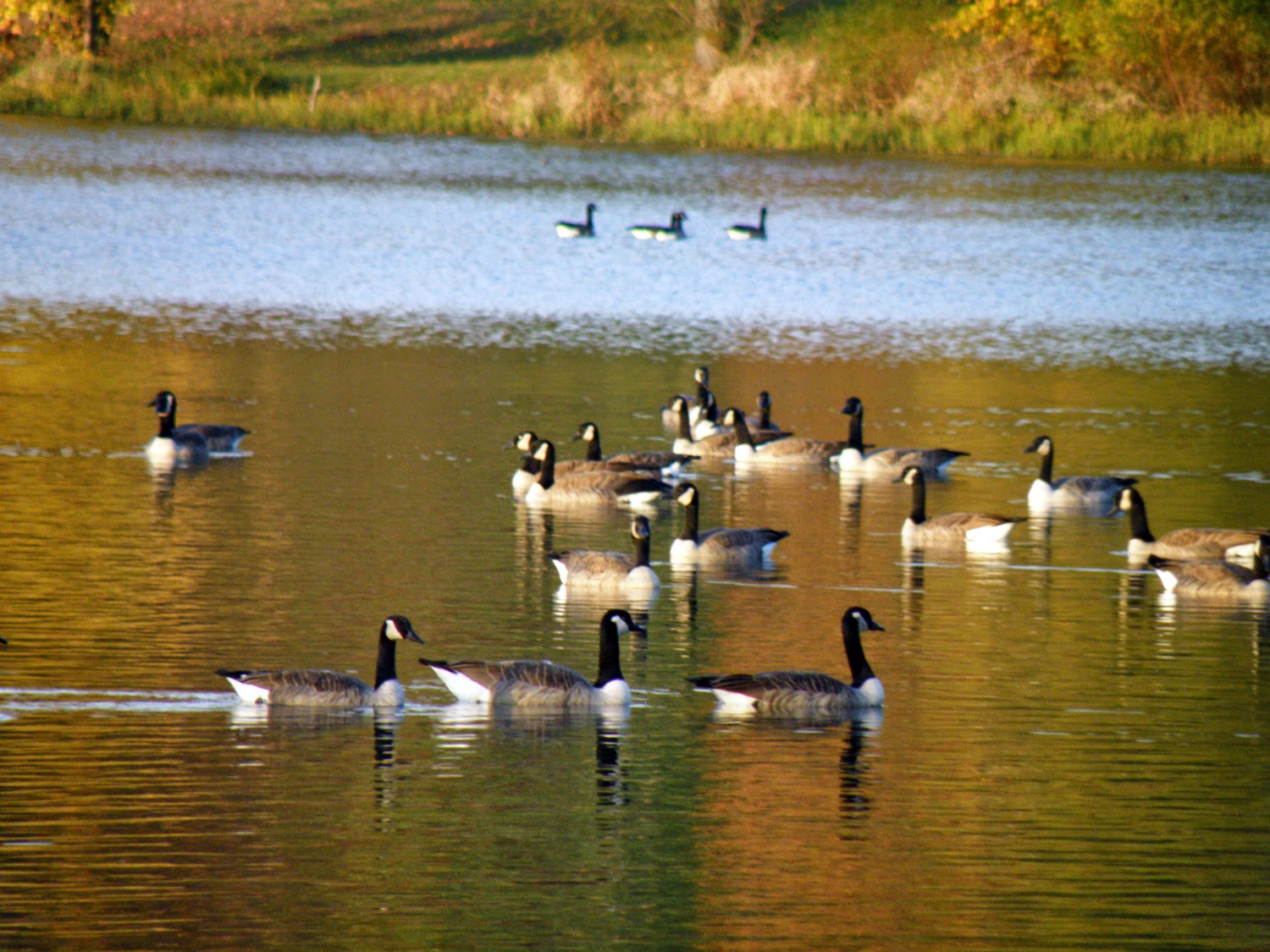 Kansas City Kansan First day of fishing for Wyandotte County changed