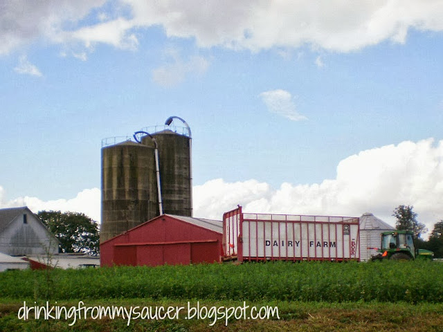 Drinking From My Saucer :: An Early Fall Drive