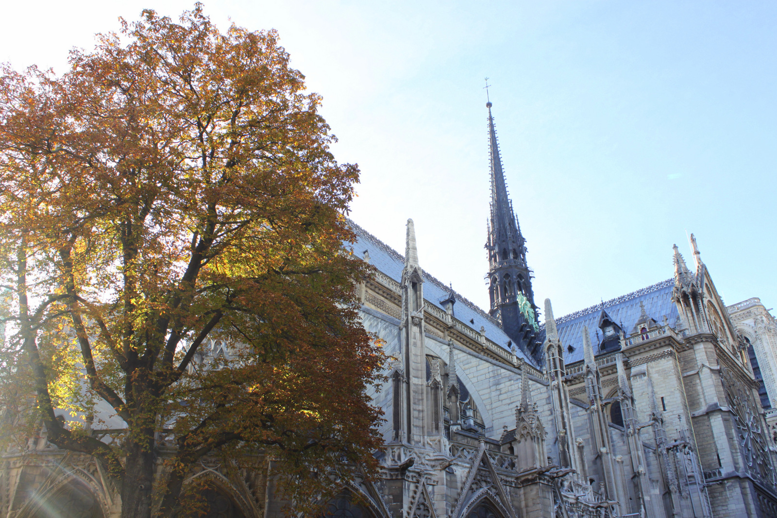 Ile de la Cité - Paris