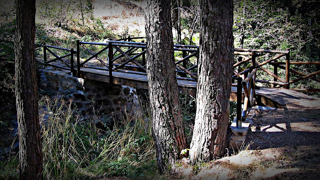 Puente del Ingeniero - AlfonsoyAmigos