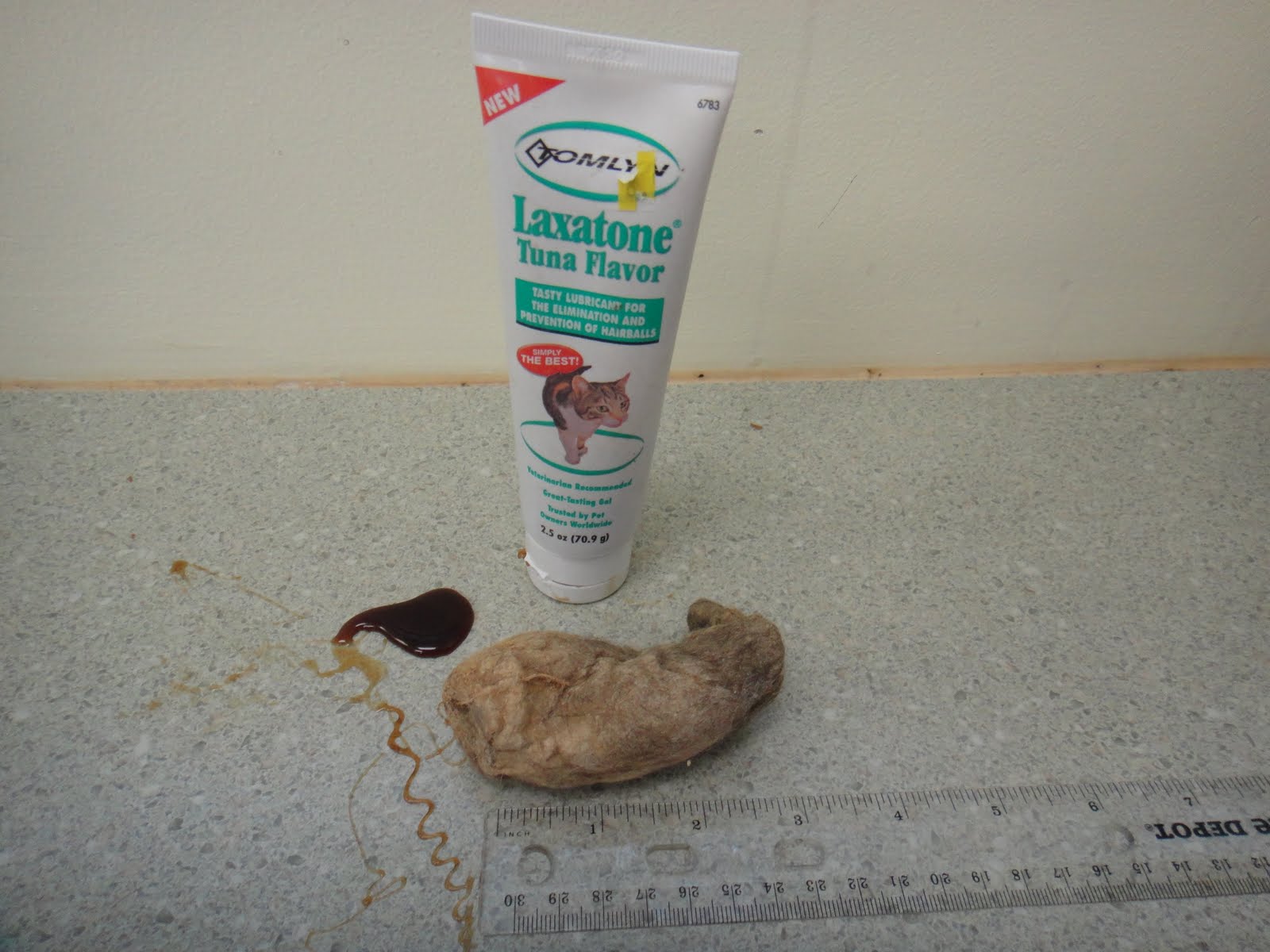 The Cat Practice, Birmingham Michigan National Hairball Awareness Day