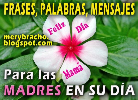 Frases Para El DIA De La Madre Frases Para El DIA De La Madre