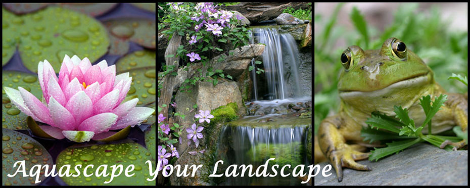 Aquascape Your Landscape